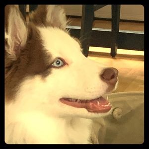 Meet your Posher, Sean